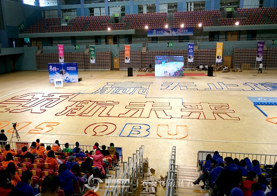 多米諾百分百成功率——“贏無止境，領航未來”2015’諾華OBU團隊建設活動
