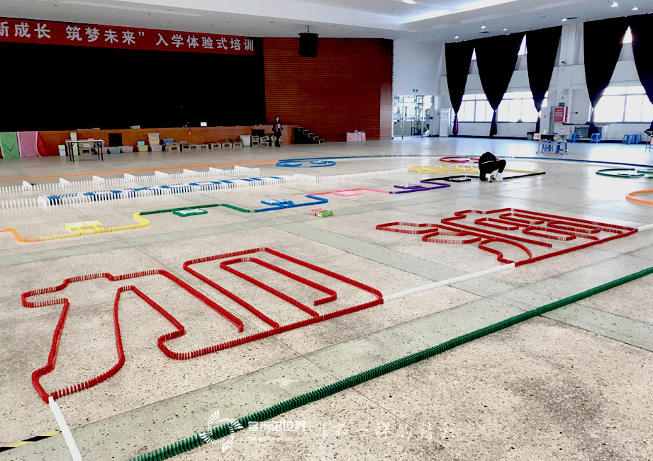 富士康學(xué)歷教育新生入學(xué)多米諾體驗培訓(xùn)圓滿結(jié)課